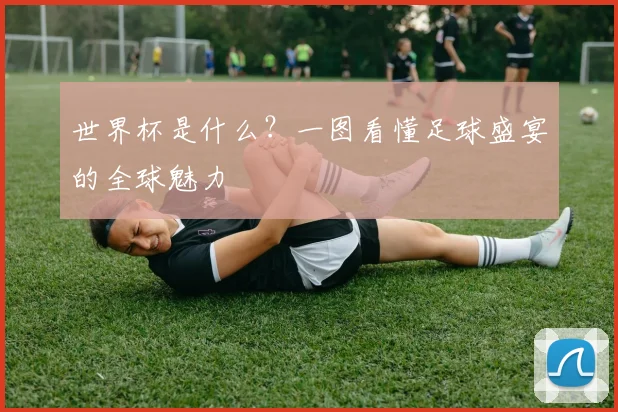 世界杯是什么？一图看懂足球盛宴的全球魅力