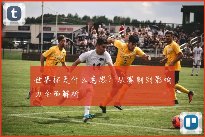 世界杯是什么意思？从赛制到影响力全面解析