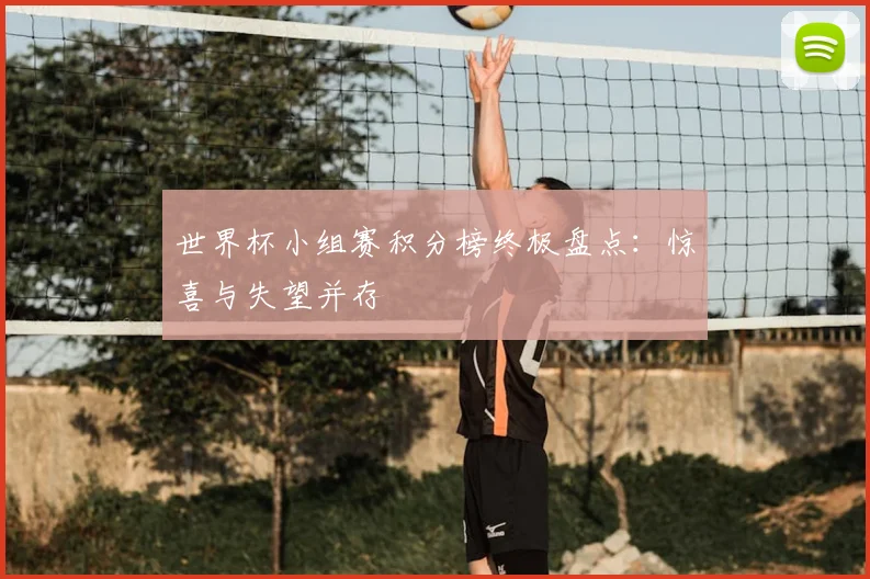 世界杯小组赛积分榜终极盘点：惊喜与失望并存