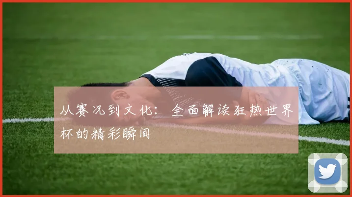 从赛况到文化：全面解读狂热世界杯的精彩瞬间