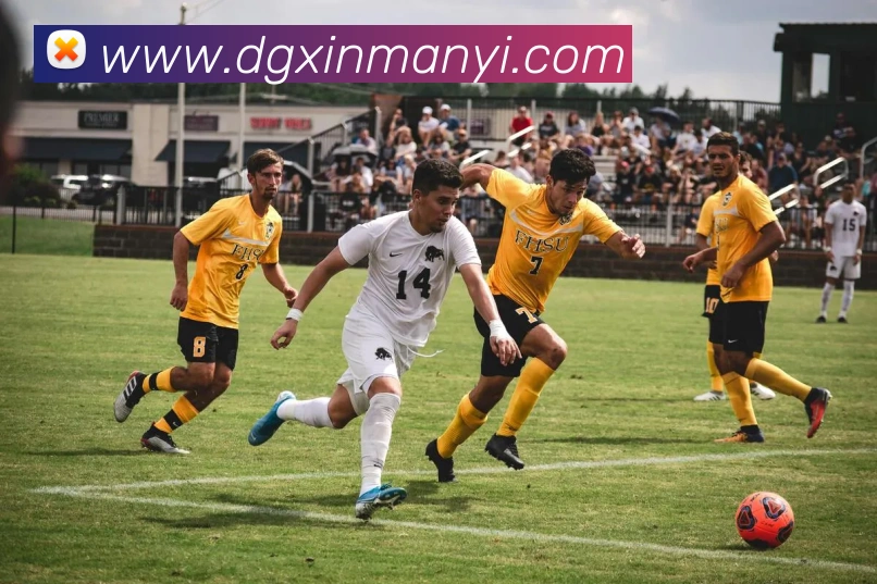 大阳城app注册官网服务体系